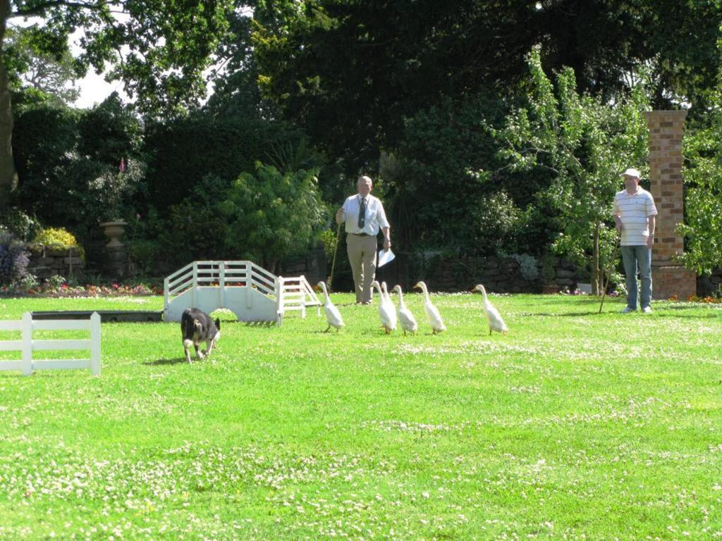 Willington Hall Hotel Tarporley Kültér fotó